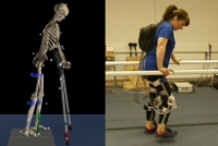 Biomechanics of the human motion
